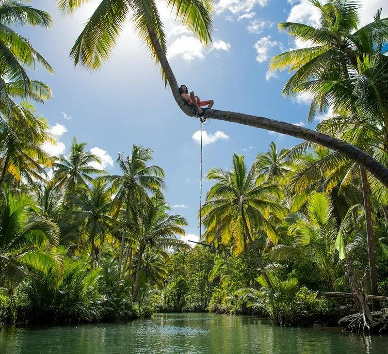 Beach bar and relaxation