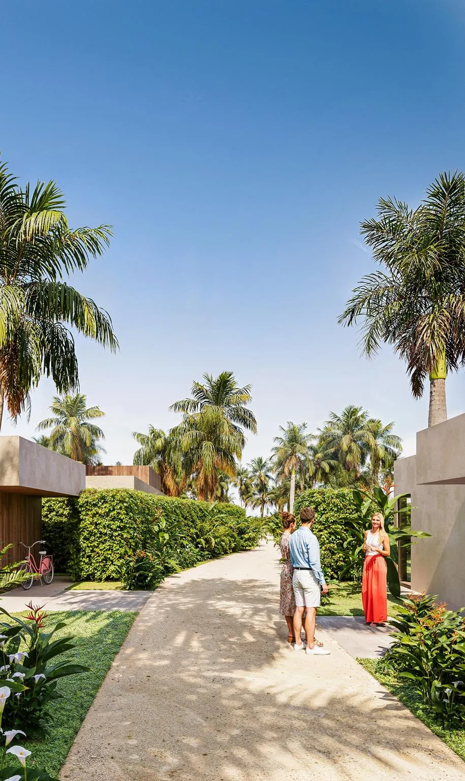 Tropical plants and bicycle